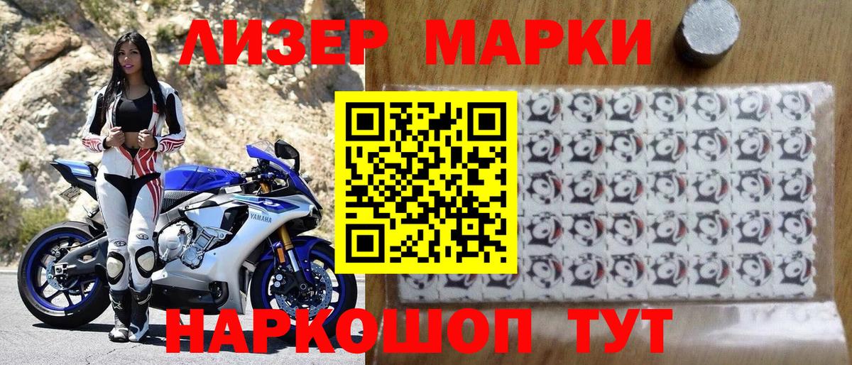 дарнет шоп  Гусев  Наркотические марки 1,5мг 