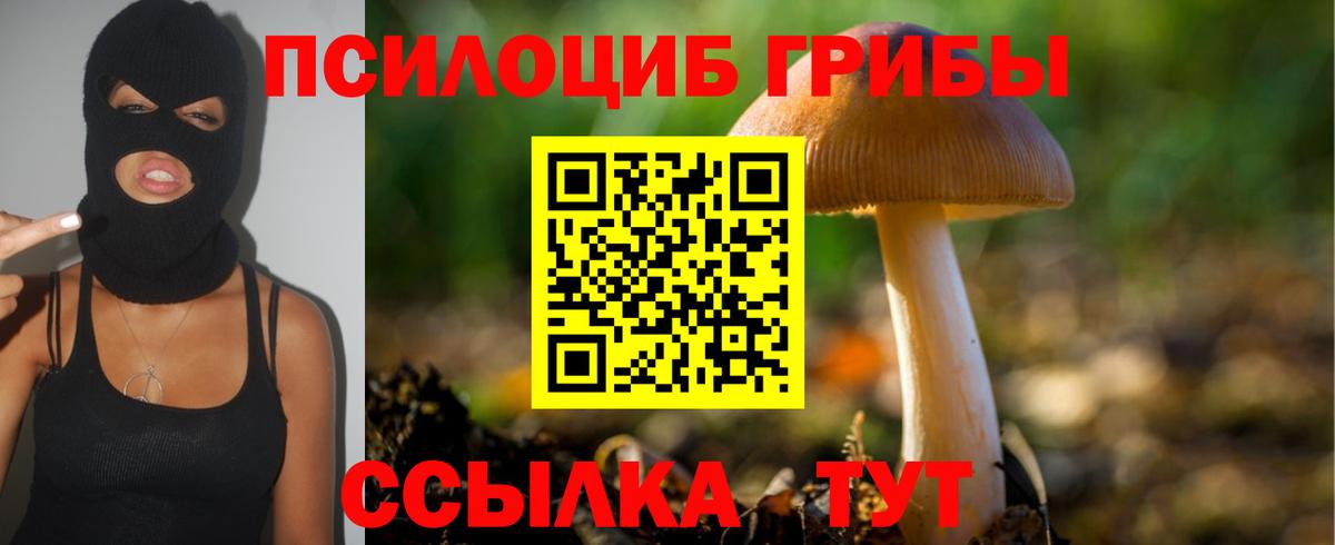 Псилоцибиновые грибы мухоморы  купить закладку  Гусев  Галлюциногенные грибы Magic Shrooms  Вход с VPN 